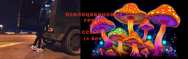 молекула духа Баксан