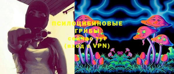 молекула духа Баксан
