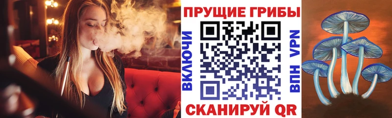 Псилоцибиновые грибы прущие грибы  площадка клад  Болохово  дарнет шоп 